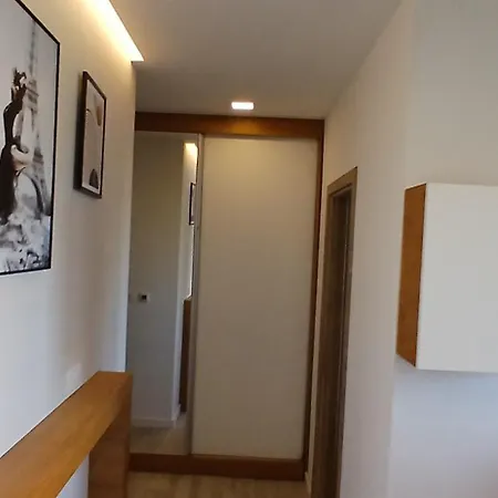 Apartment Miletic Lux *