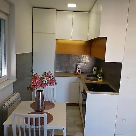 Miletic Lux Apartment